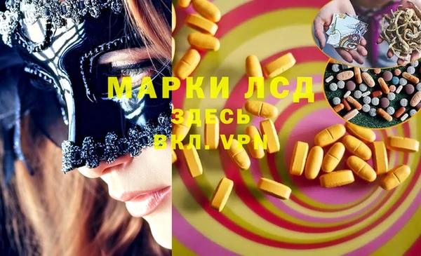 ПСИЛОЦИБИНОВЫЕ ГРИБЫ Михайловск