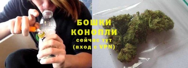 ПСИЛОЦИБИНОВЫЕ ГРИБЫ Михайловск