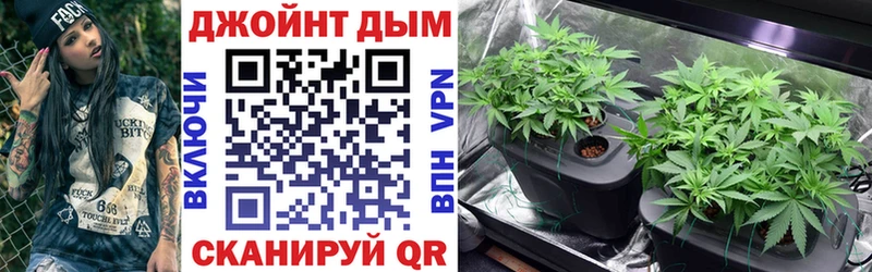 Купить  Никольск  Каннабис Bruce Banner 